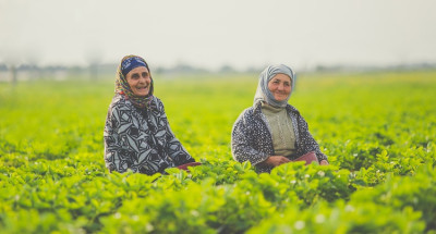 UAE Golden Visa for farmers? How two Thai women became the first receiepients for growing dates abroad