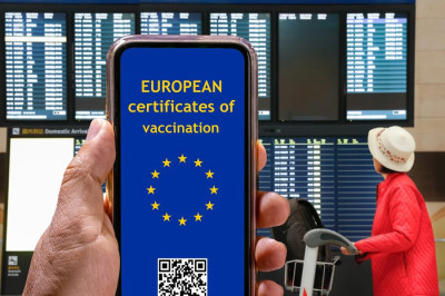 EU Immigration Highlights 2024