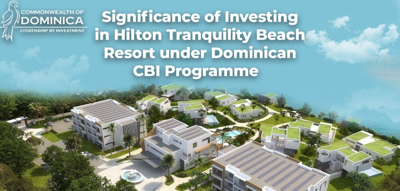 Read more about the article Significance of Investing in Hilton Hotel